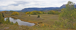 Flat Tops Beaver Pond